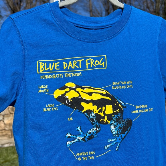 Blue Dart Frog Short Sleeve Tee Shirt - Picture 2 of 11